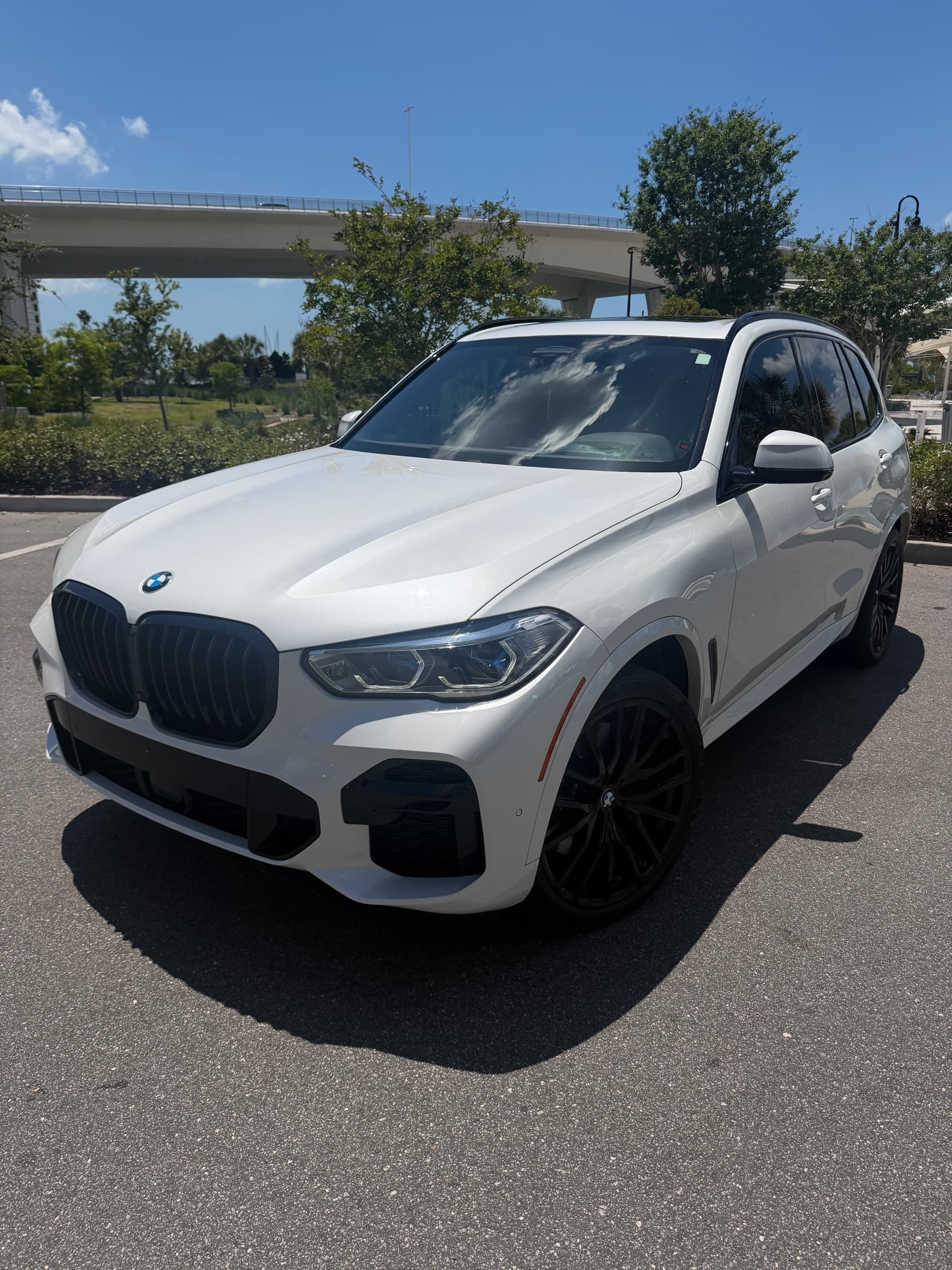 2023 BMW X5M