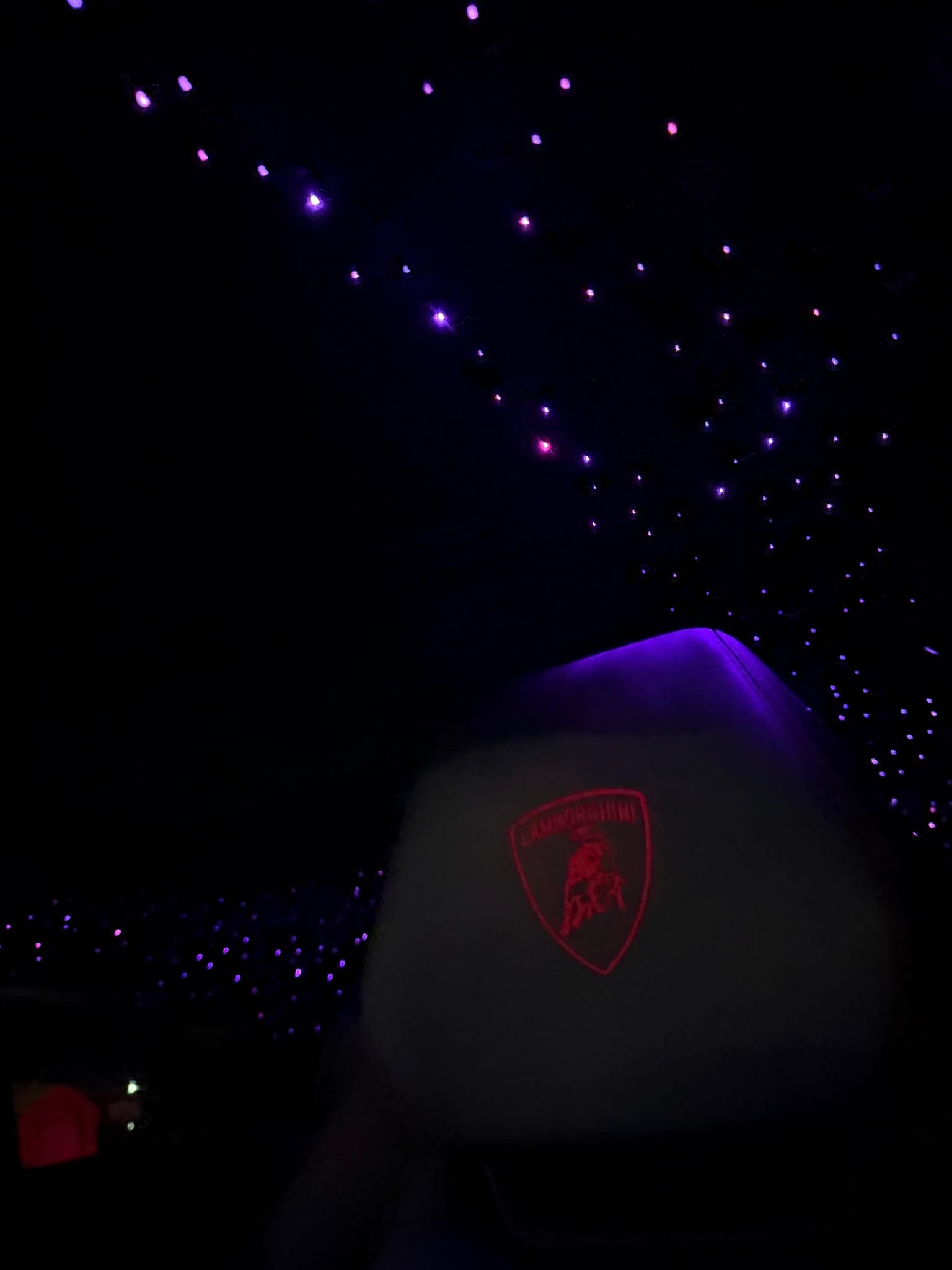 2020 Lamborghini Urus (White Panda)